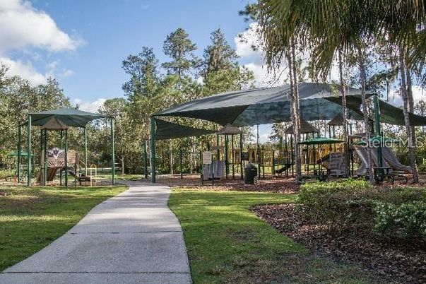 Backyard, Exterior, Playground