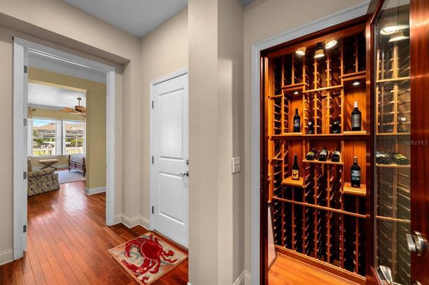 Interior, Wine Storage, Wood Texture Flooring