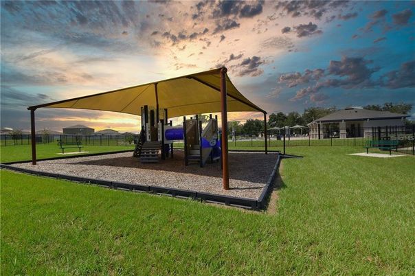 Backyard, Exterior, Playground
