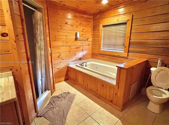 Bathroom, Interior, Recessed Lighting, Wooden Walls
