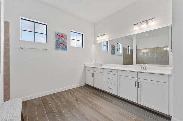 Bathroom, Dual Sink Vanities, Interior, Wood Texture Flooring