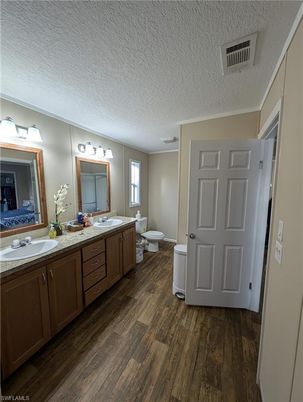 Bathroom, Dual Sink Vanities, Interior, Wood Texture Flooring