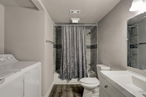 Bathroom, Interior, Washer, Wood Texture Flooring