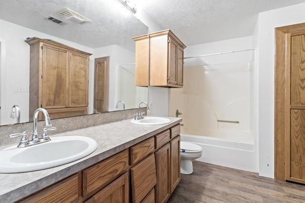 Bathroom, Dual Sink Vanities, Interior, Wood Texture Flooring
