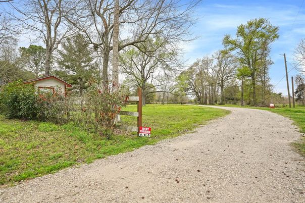 Backyard, Detached Garage, Exterior