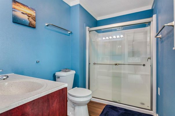 Bathroom, Glass Shower, Interior, Wood Texture Flooring