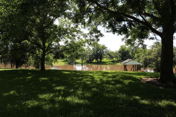 Backyard, Exterior, Lake