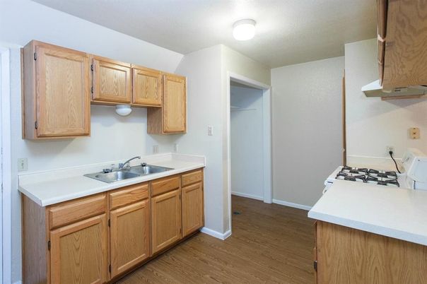 Interior, Kitchen, Wood Texture Flooring