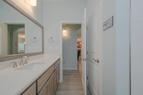 Bathroom, Dual Sink Vanities, Interior, Wood Texture Flooring