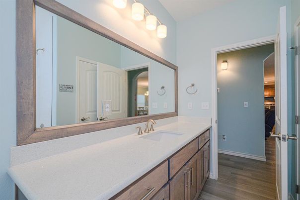 Bathroom, Dual Sink Vanities, Interior, Wood Texture Flooring
