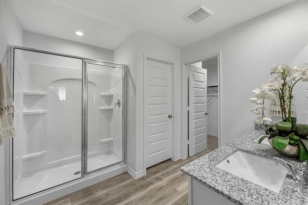 Bathroom, Glass Shower, Interior, Recessed Lighting, Walk-in Closets, Wood Texture Flooring
