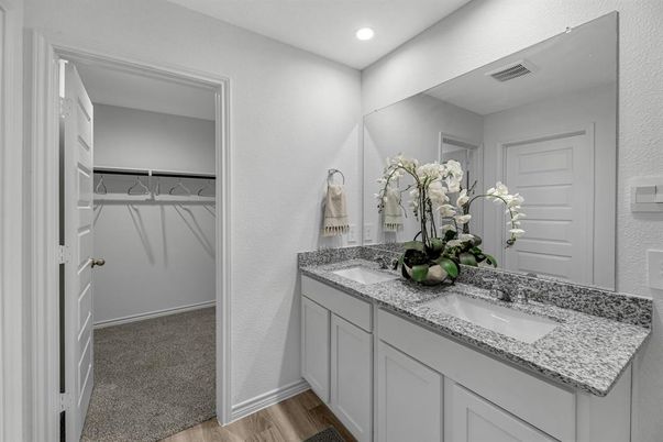 Bathroom, Dual Sink Vanities, Interior, Recessed Lighting, Walk-in Closets, Wood Texture Flooring