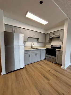 Interior, Kitchen, Stainless Steel Appliances, Wood Texture Flooring
