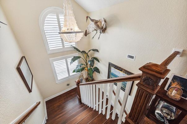 Chandelier, Interior, Wood Texture Flooring
