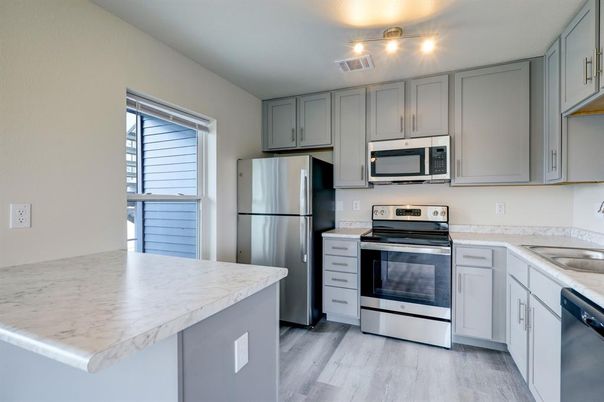 Interior, Kitchen, Stainless Steel Appliances, Wood Texture Flooring