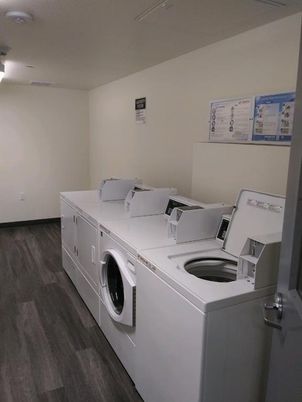 Interior, Washer, Wood Texture Flooring