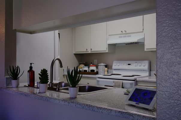 Interior, Kitchen