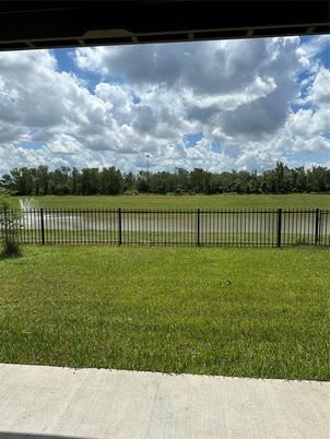 Backyard, Exterior, Water