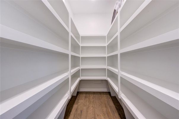 Interior, Walk-in Closets, Wood Texture Flooring