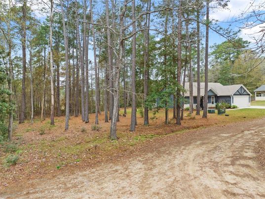 Backyard, Detached Garage, Exterior