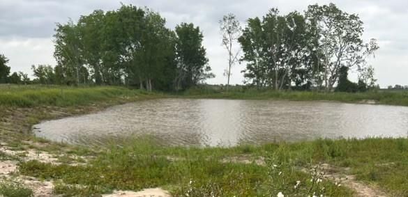 Exterior, Lake