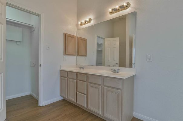 Bathroom, Dual Sink Vanities, Interior, Wood Texture Flooring
