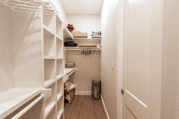 Interior, Walk-in Closets, Wood Texture Flooring