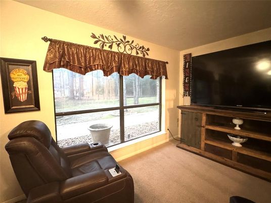 Home Theatre Room, Interior, Living room