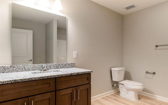 Bathroom, Interior, Wood Texture Flooring