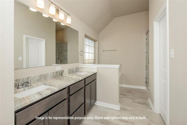 Bathroom, Dual Sink Vanities, Interior, Wood Texture Flooring