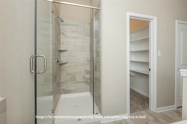 Bathroom, Glass Shower, Interior, Wood Texture Flooring