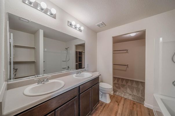 Bathroom, Dual Sink Vanities, Interior, Walk-in Closets, Wood Texture Flooring