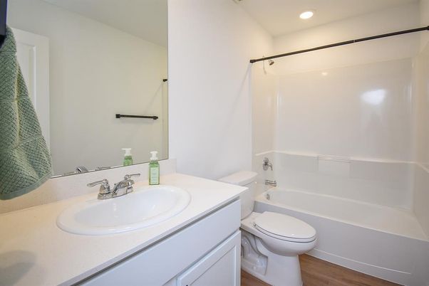 Bathroom, Interior, Recessed Lighting, Wood Texture Flooring
