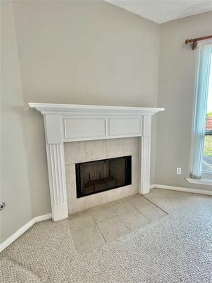 Fireplace, Interior