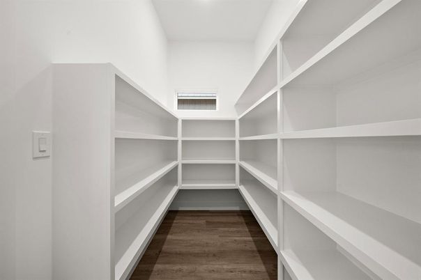 Interior, Walk-in Closets, Wood Texture Flooring