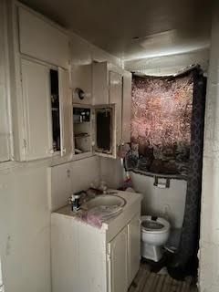 Bathroom, Interior, Wood Texture Flooring