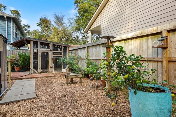 Backyard, Exterior
