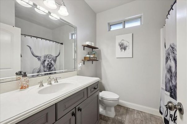 Bathroom, Interior, Wood Texture Flooring
