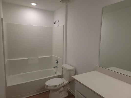 Bathroom, Interior, Recessed Lighting, Wood Texture Flooring