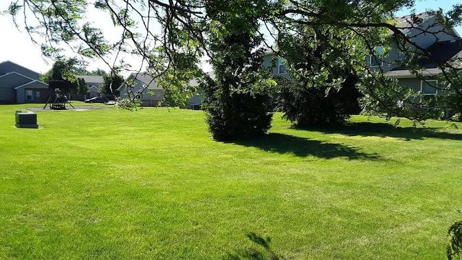Backyard, Exterior, Playground