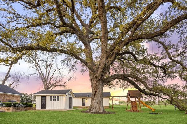Backyard, Exterior, Playground