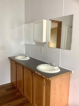 Bathroom, Dual Sink Vanities, Interior, Wood Texture Flooring