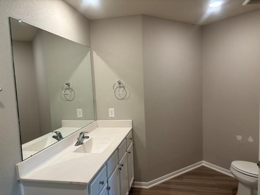 Bathroom, Interior, Recessed Lighting, Wood Texture Flooring
