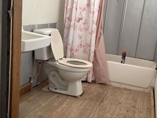 Bathroom, Interior, Wood Texture Flooring