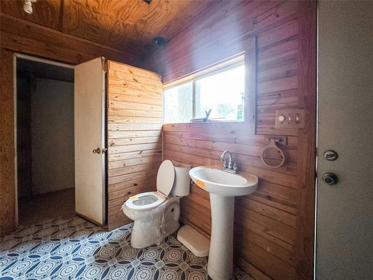 Bathroom, Interior, Wooden Walls