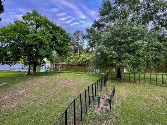Backyard, Exterior, Water