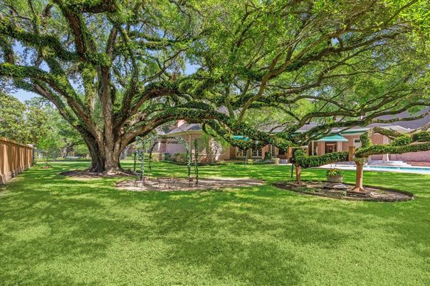 Backyard, Exterior, Playground