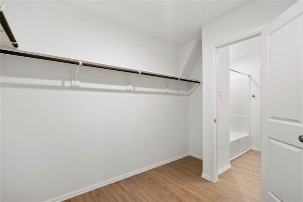 Interior, Walk-in Closets, Wood Texture Flooring