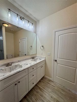 Bathroom, Dual Sink Vanities, Interior, Wood Texture Flooring