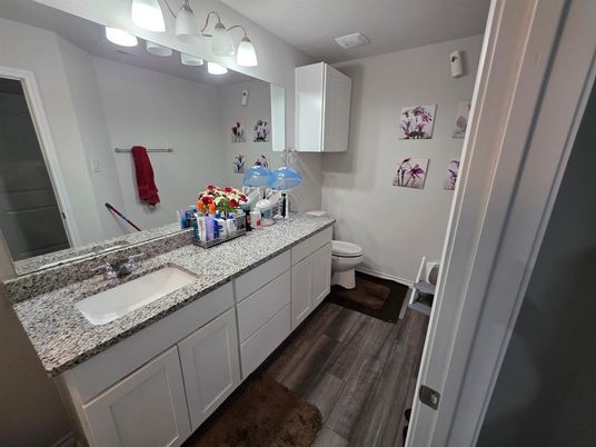 Bathroom, Dual Sink Vanities, Interior, Wood Texture Flooring
